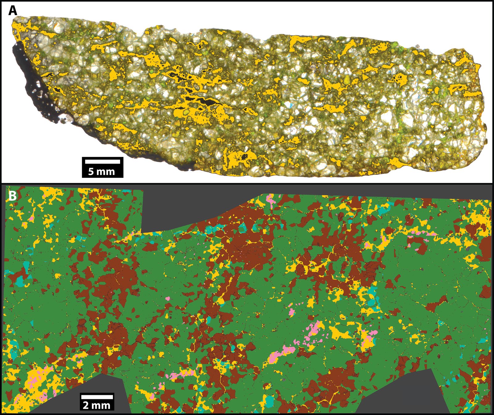Top: optical scan of a xenolith slice with melt veins highlighted in yellow. Bottom: false-color phase map with yellow melt veins running between green olivine and brown orthopyroxene